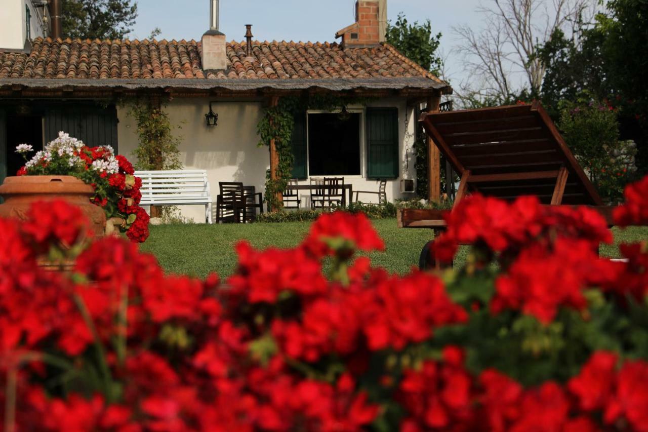 Casa S.Paolo Villa Rimini Buitenkant foto